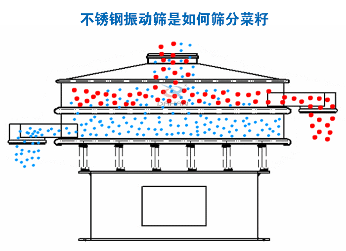 不鏽鋼妖精视频在哪个网址播放