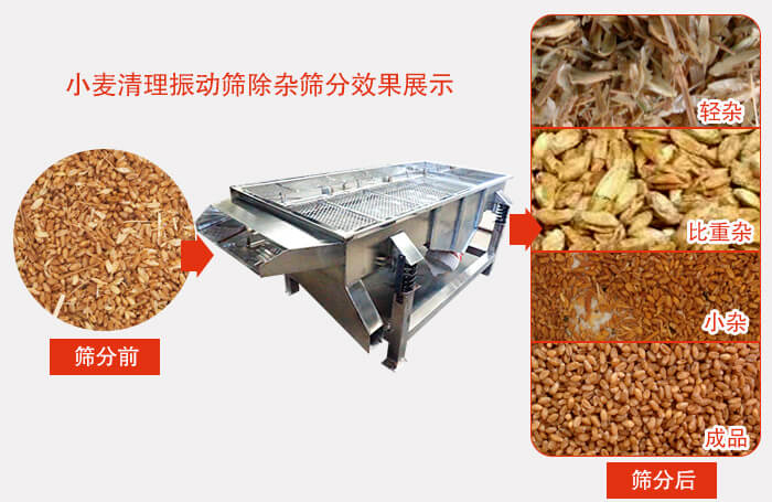 小麥清理妖精视频在哪个网址播放小麥篩分效果展示圖可同時篩分出輕雜，比重雜，小雜，成品等四個等級。